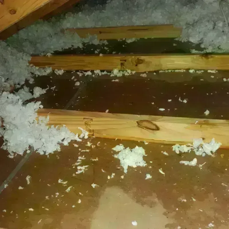 Attic Water Damage in Paducah, TX