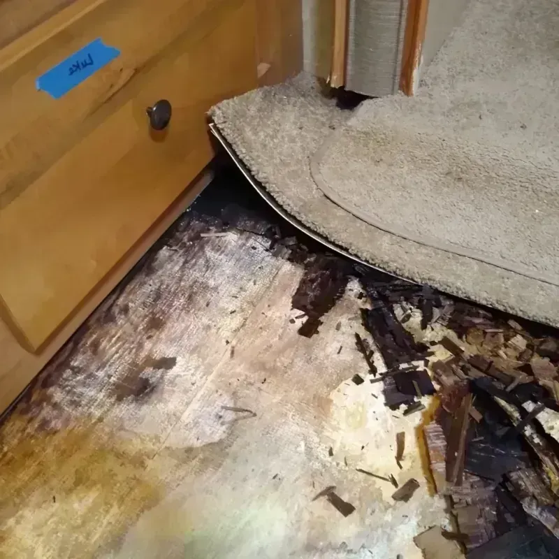 Wood Floor Water Damage in Paducah, TX